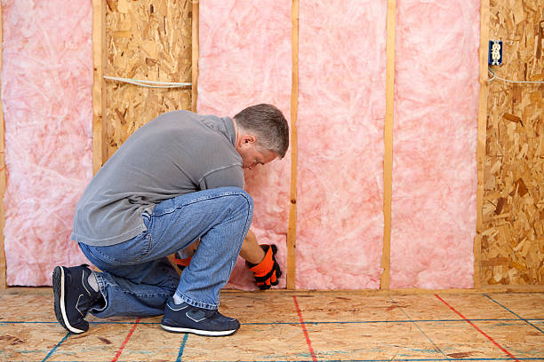 Best Types of Insulation in Buda, TX